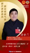 我是代表委员 | 许小兰：将荆州打造成为荆楚文化高地