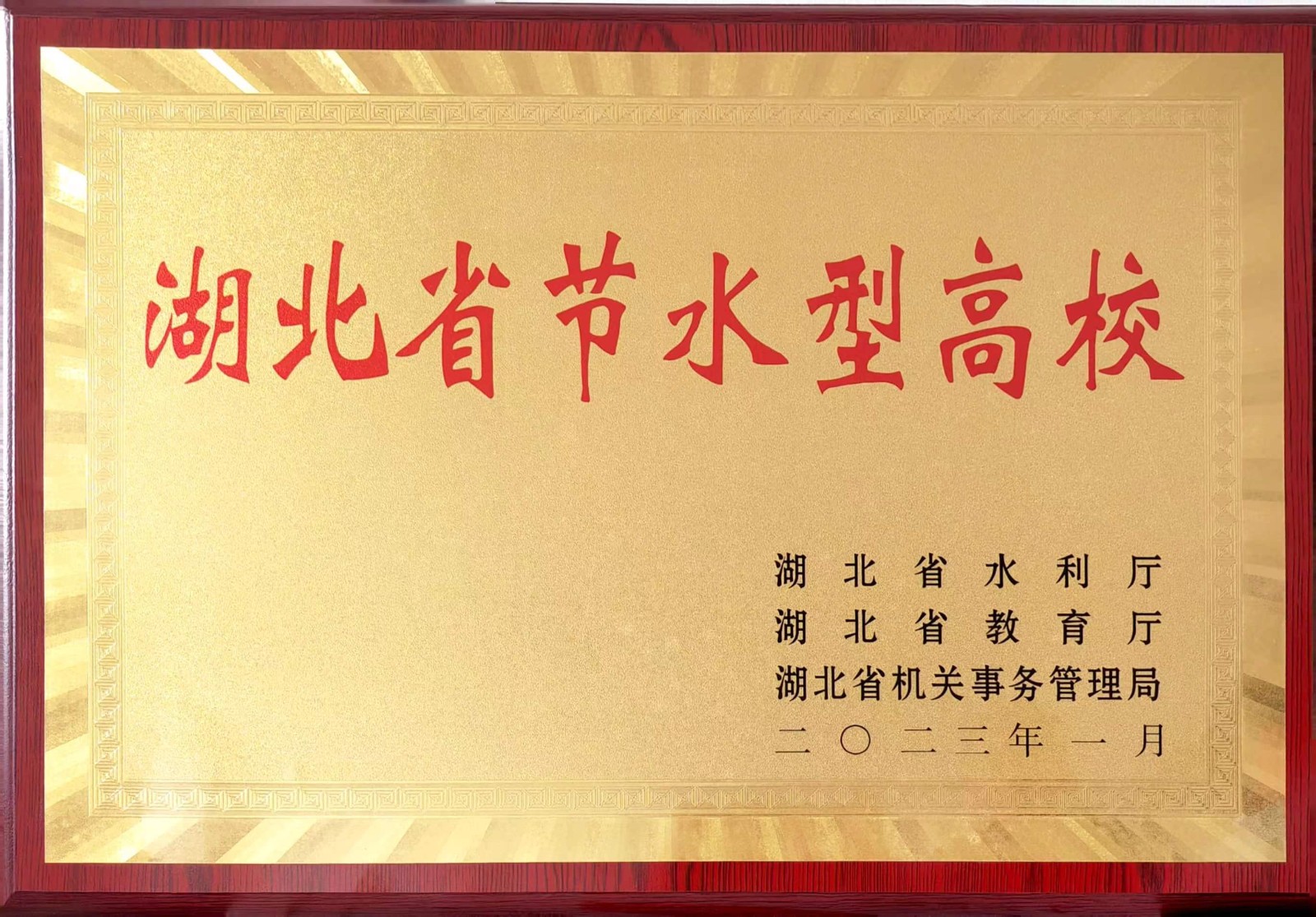 1680082192135099.jpg 1680082192135099.jpg